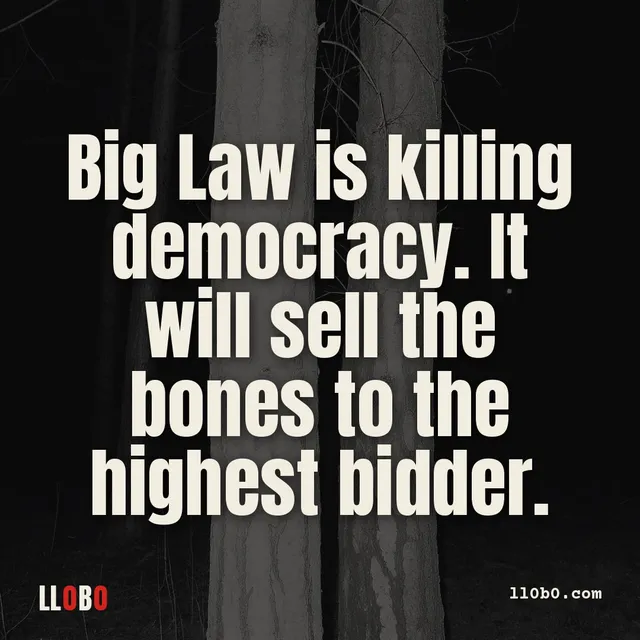 Big Law is killing democracy. It will sell the bones to the highest bidder.