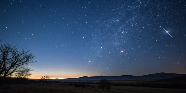 Picture: The Dog Star